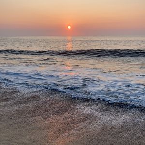 Meet your Posher, Lucy